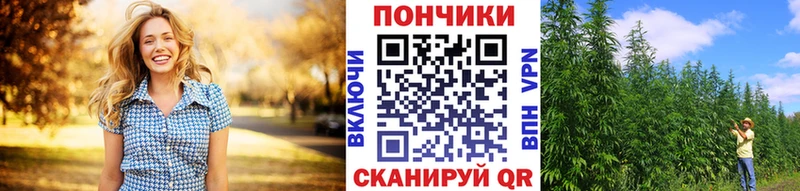 Как найти наркотики Светогорск Кокаин Галлюциногенные грибы Гашиш Бошки Шишки Меф A-PVP