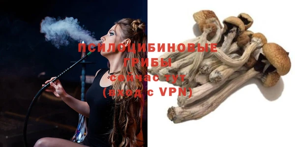 стаф Приозерск