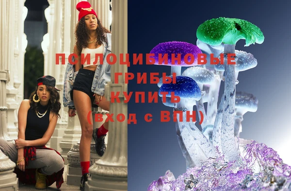 мяу мяу мука Заволжск