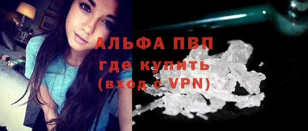 стаф Приозерск