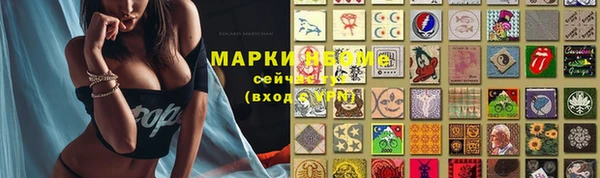 стаф Приозерск