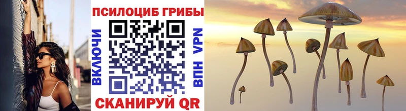 OMG онион Светогорск Галлюциногенные грибы Psilocybine cubensis сколько стоит